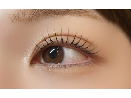 ピンナ(pinna.)の写真