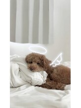 コネクト(Connect)&nbsp;【eye】 Ayaka