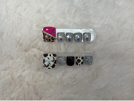 フット定額C アニマル