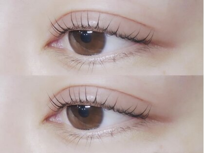 ホワイトアイ 小倉(WHITE EYE)の写真