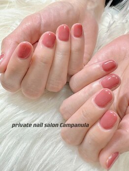 カンパニュラ(Campanula)/ワンカラー