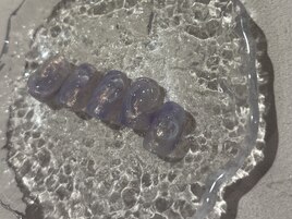 パープルニュアンスネイル