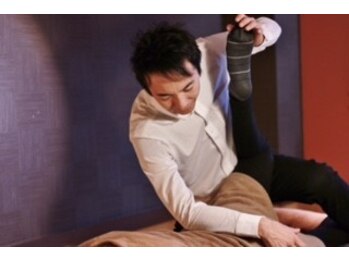 コットン ツリー(Cotton tree)