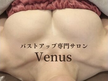 ヴィーナス(Venus)の写真/【京都西院/本気でバストアップしたい方】しぼんだバストをふっくらおわん型へ!他で満足出来なかった方も◎