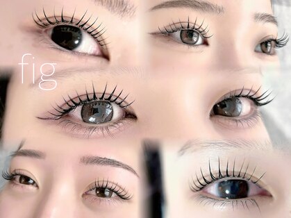 フィグ(fig)の写真