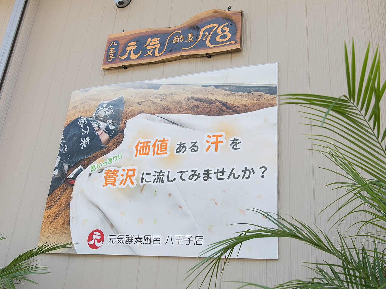 酵素風呂を知っていますか? 元気と健康を呼ぶ! 酵素風呂を知っていますか?: 元気と健康を呼ぶ! | 岡崎 保 |本