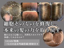 レインボーレインボー RAINBOW RAINBOW