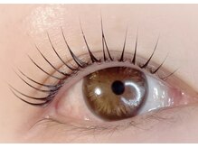 ルピナス(salon de Lupinus)