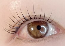 ルピナス(salon de Lupinus)