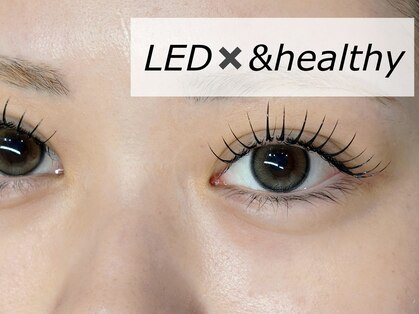 デイズ アイ ベクシー(Day`s eye Becsy)の写真