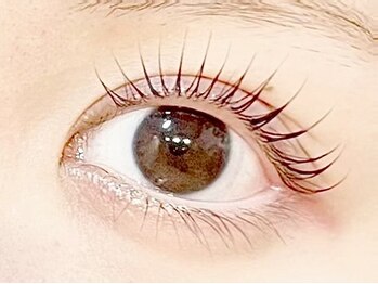 メー(me.)/ラッシュリフト/まつ毛パーマ