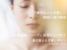 ヨサパークミラー 新高円寺(YOSAPARK Mirror)