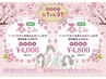 【春もみ60分】全身もみほぐし45分＋ヘッド15分　4000円
