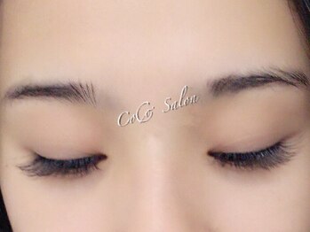 ココサロン(CoCo Salon)/エアーセーブル(上)120本 5280円