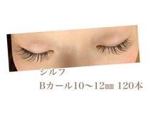 シルフ 石橋店(Sylph)/キュートスタイル