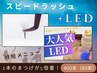 《LED＋スピードラッシュ》400本(80束)1本のまつ毛＜5倍の量＞驚きの持続力