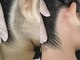 ソラナ(sorana)の写真/うなじWAX脱毛＋光脱毛で速攻で綺麗になれる！自分で見えないうなじ・背中をWAXと光のダブルでつるつるに♪