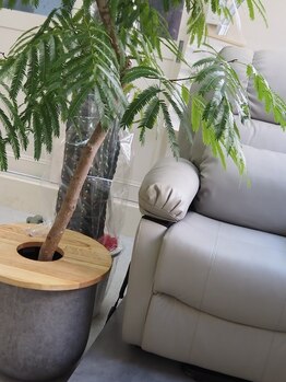 ミセスティキ(Mrs. tiki)/greenが大好きスタッフです