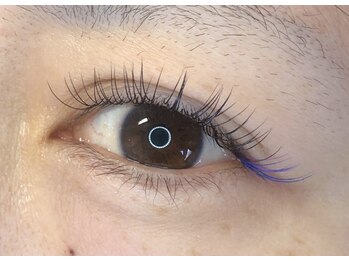 ステラマリス(Stella Maris)/フラットラッシュ100本＋Pカラー