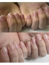 フィグ ツリー(fig tree)/地爪育成(6ヶ月以上必要です!!)