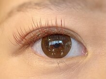 アイアイ(i eye)/カラーエクステ