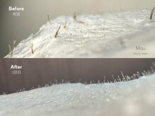 マウ(Mau)/フェイスwax