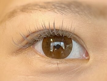 アイアイ(i eye)/カラーエクステ