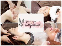 ルピナス(Lupinus)