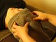整体/オイルリンパ/足つぼ/ヘッドの写真/「肩が重い,首までガチガチ…」そんな毎日をそっと緩める場所…《大人気》ほぐし整体×熟睡ヘッドスパ70分