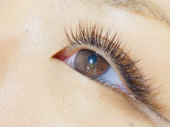 ウルカ アイラッシュ(uruka EYELASH)/フラットラッシュブラウン 140本