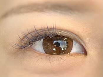 アイアイ(i eye)/カラーエクステ