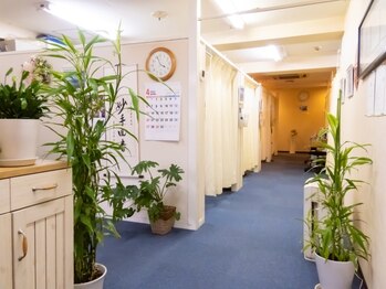 ウ～さんの中医鍼灸院の写真/ひとりひとりのお悩みに合わせた鍼灸施術で悩み続けていた肩こりを改善◎