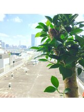 aR整体 ぬちぐすい 表参道/昼の窓から見える景色