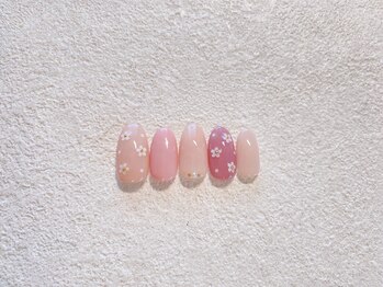 モアナ(Moana)/定額シンプル