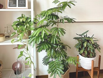 ヨサパーク アーバンヘブン 目黒(YOSA PARK Urban Heaven)/緑たくさんの癒し空間