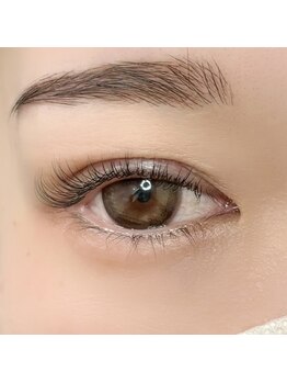 レジアント(Rediant)/フラットラッシュ60本