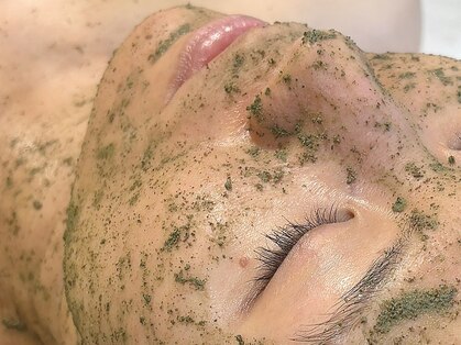 アカラ(Akara)の写真