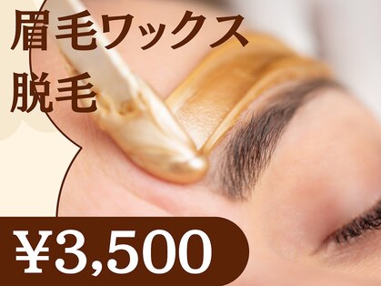 ウィンク(WINK)の写真