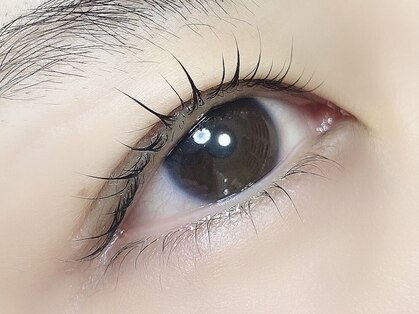 Mil【ミル】の写真