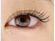 ヴィフ(Vif)/フラットラッシュ100本