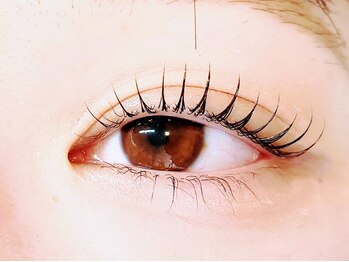 エクラ(Eclat)/韓国風束感まつ毛