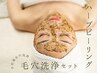 【2カ月以内再来】毛穴エクストラクション(鼻)＋ハーブピーリング ￥9,900