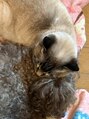 ペルテ 浦和(Per Te)&nbsp;猫2匹犬1匹子供3人[浦和/アート/手描き/マグネット/ワンカラ―]