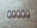 定額￥8800コース