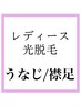 【レディース光脱毛】襟足 えりあし うなじ光脱毛1回¥5000