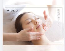 アジュガ(Ajuga)