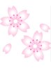 【春限定*ハンド】★定額スタンダード*桜★【ドライケア込】