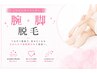 【レディース/腕＋脚全体脱毛】人気脱毛セット