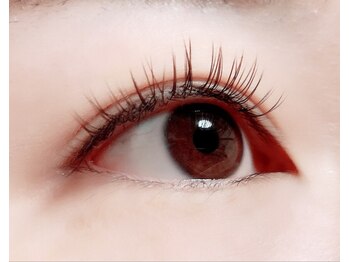 ハーゼ(Hase)/Flat Lash【Brown】120本