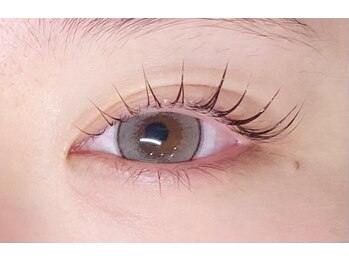 アイラッシュ シェリ(cheri)/ラッシュリフト